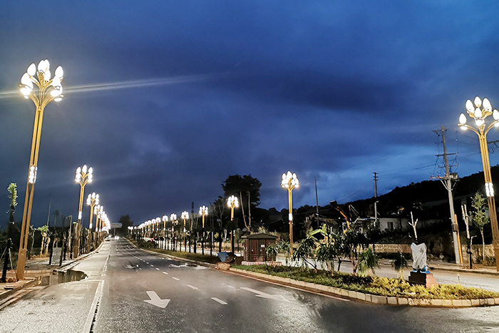 Portul de vitalitate de aur Nayun