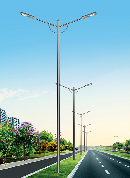 Componente ale tijei